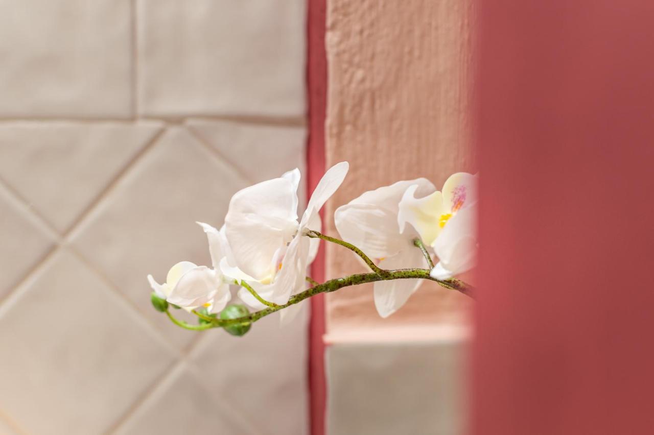 Wine Apartments Florence Vernaccia 외부 사진